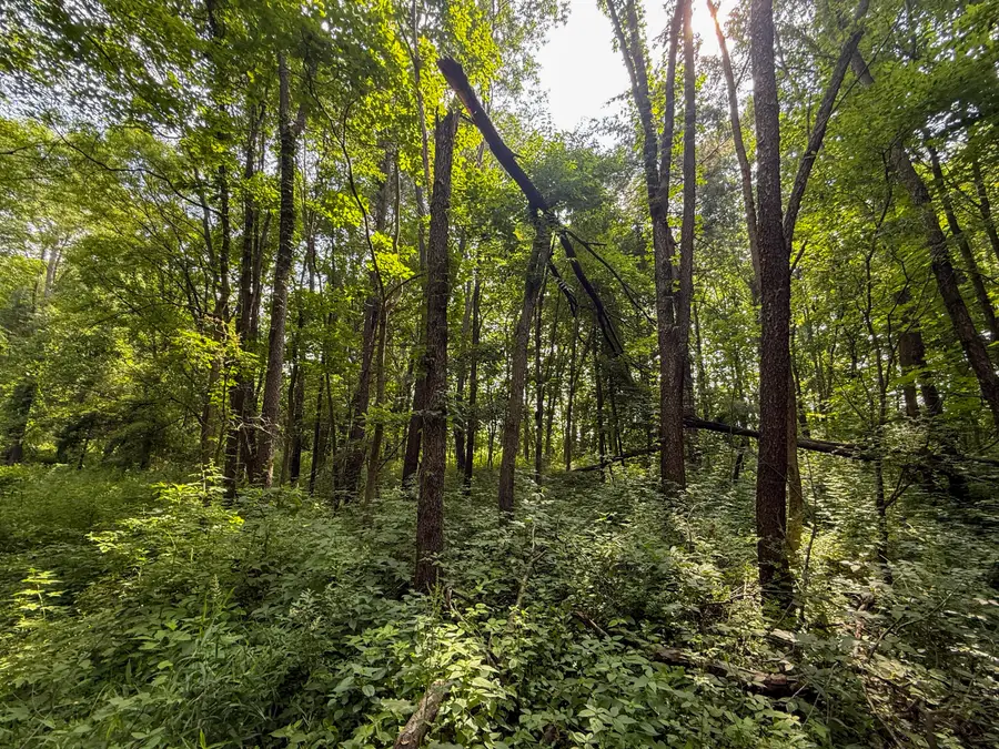 VL Whitetail Ridge #29, Dowagiac, MI 49047 - #2
