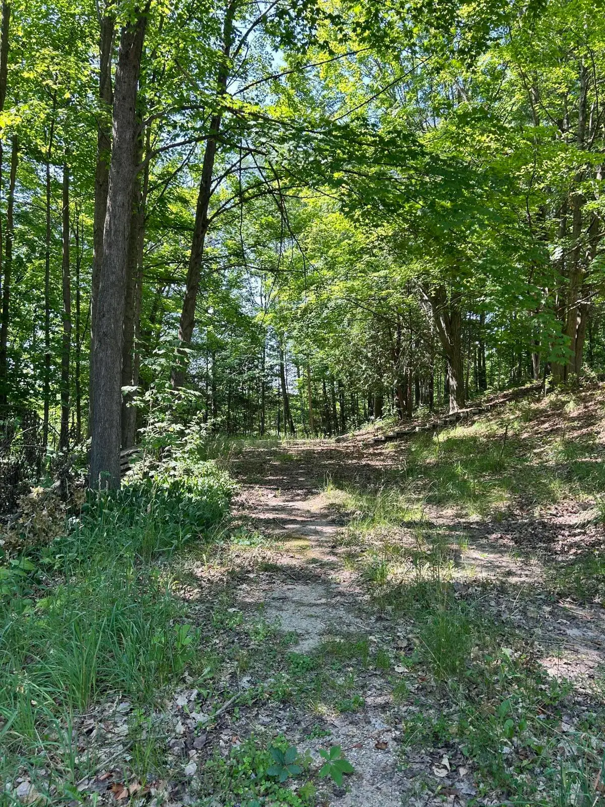 313 W Spruce Street E, Big Rapids, MI 49307 - #1