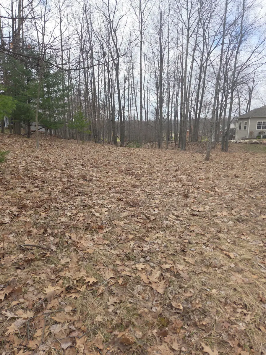9361 St. Ives Drive #32, Canadian Lakes, MI 49346 - #2