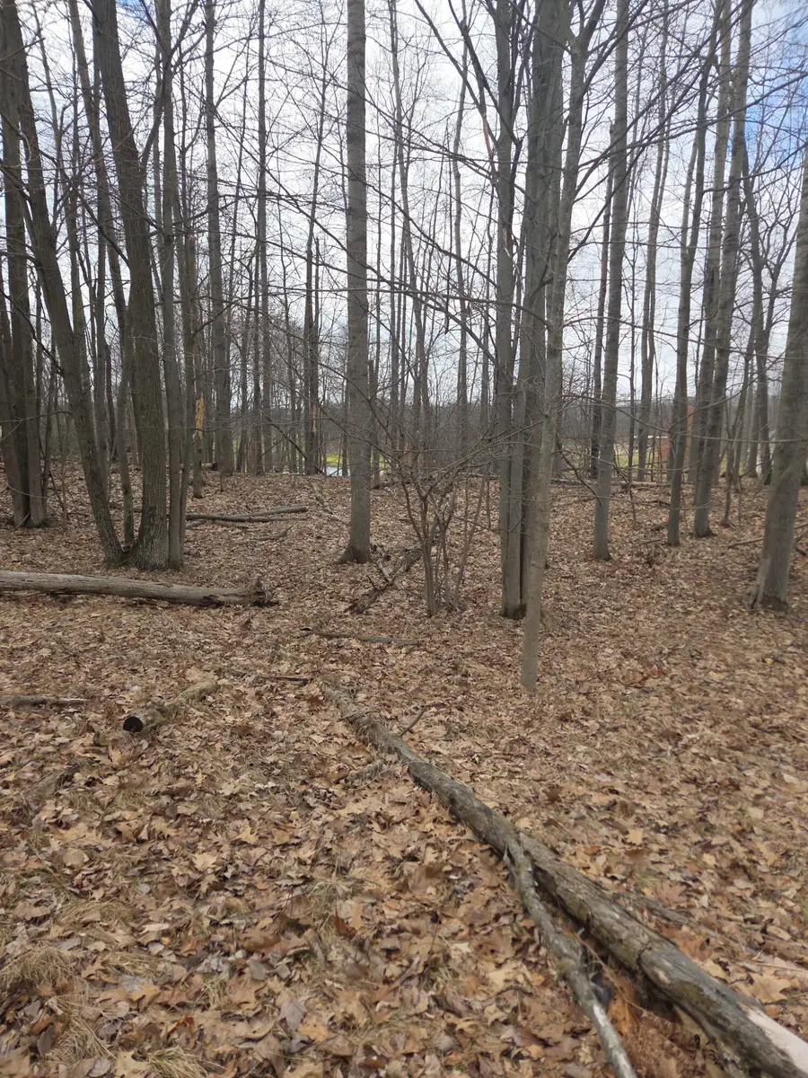 9361 St. Ives Drive #32, Canadian Lakes, MI 49346 - #3