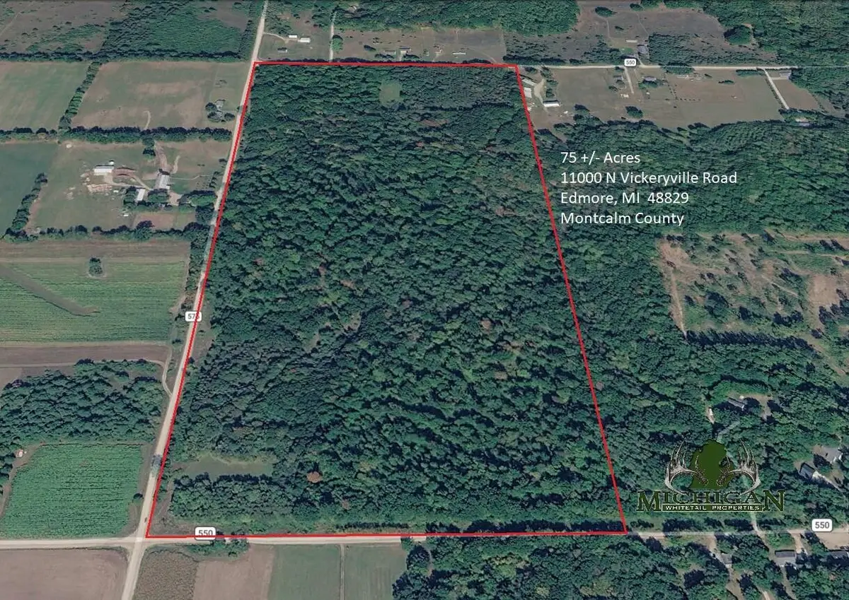 11000 N Vickeryville Road, Edmore, MI 48829 - #1