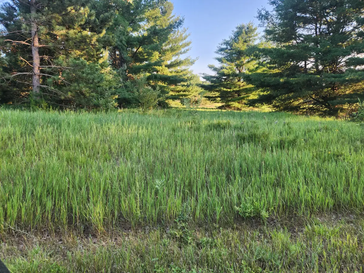 11535 Pierce Road #786, Canadian Lakes, MI 49346 - #1
