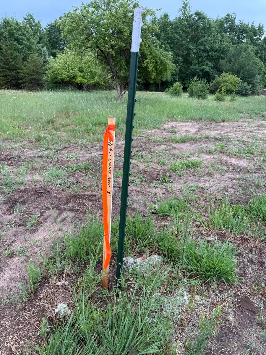 Sadie Ln #Parcel ''E'', Bear Lake, MI 49614 - #3