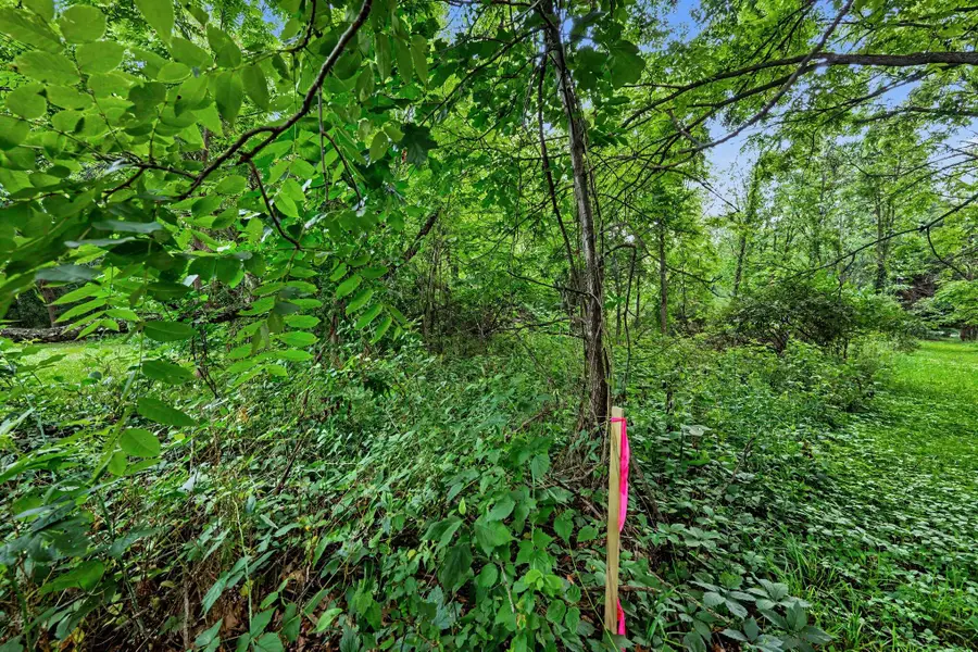 5772 N 31st Street #Parcel B, Richland, MI 49083 - #3