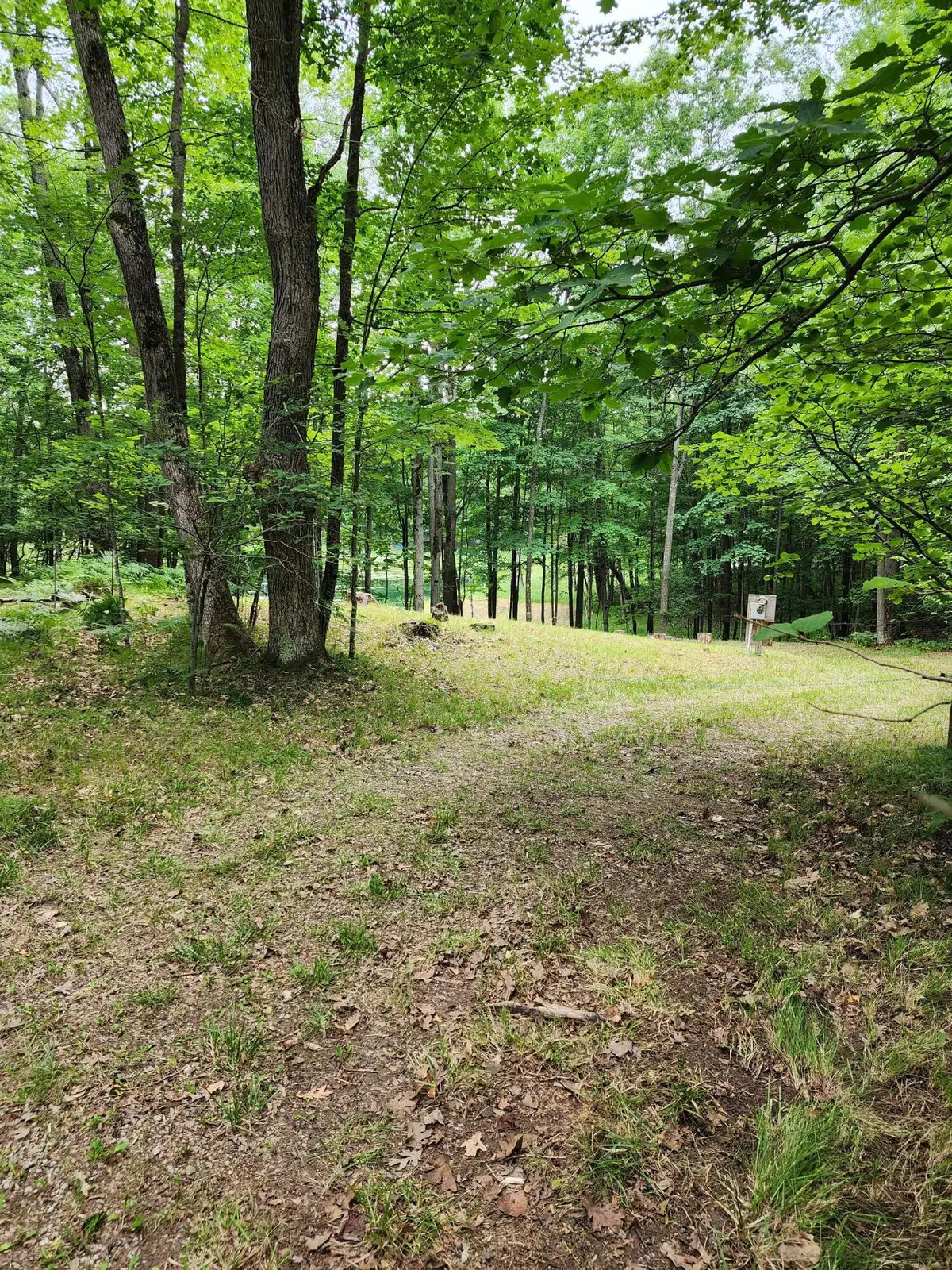 1631 Laurel Lane, Farwell, MI 48622 - #1
