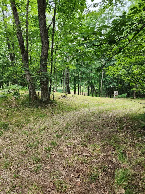 1631 Laurel Lane, Farwell, MI 48622