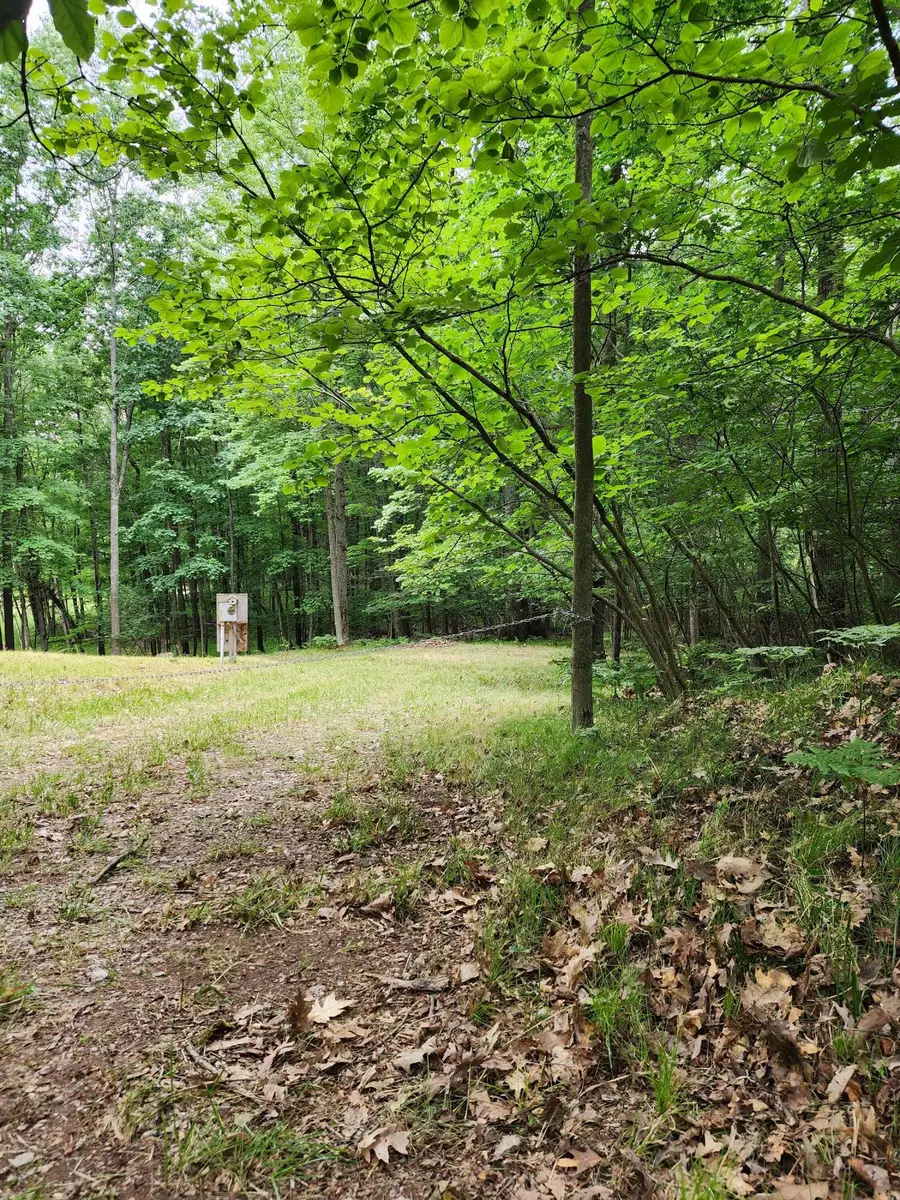 1631 Laurel Lane, Farwell, MI 48622 - #2