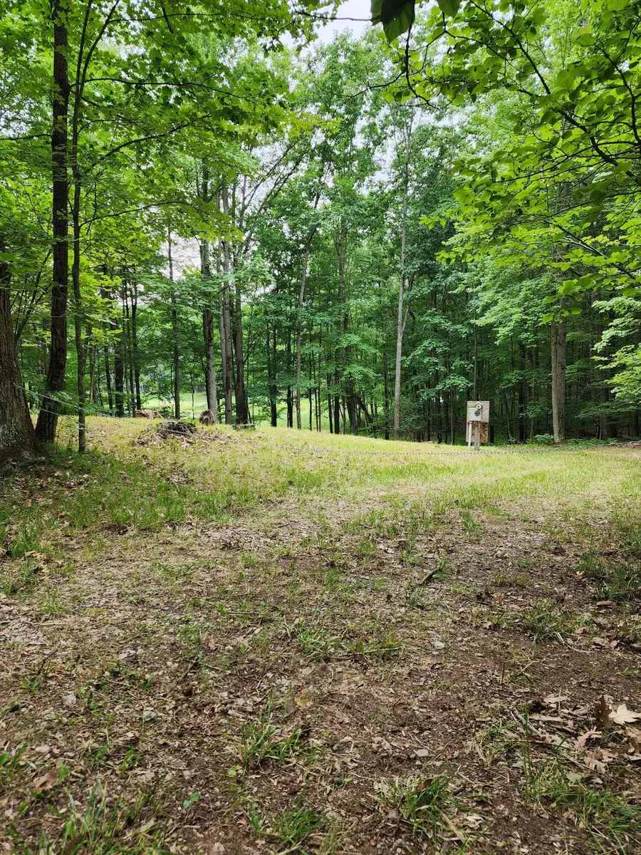 1631 Laurel Lane, Farwell, MI 48622 - #3