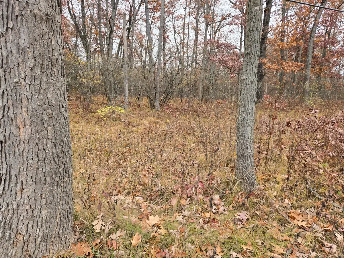 Woodbridge, Bitely, MI 49309 - #1