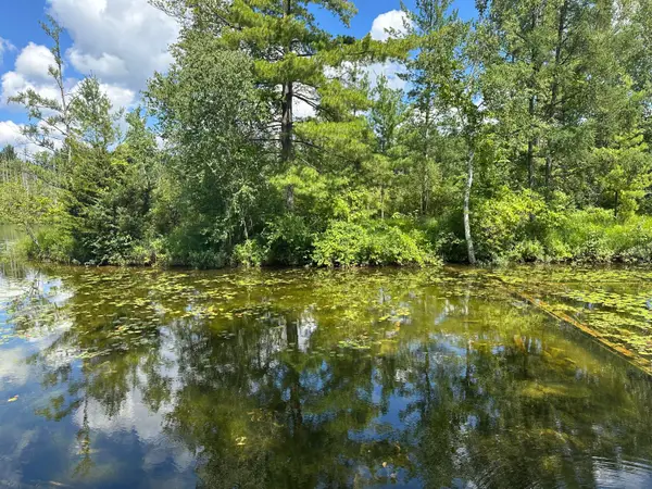 1743 W 68th Street, Baldwin, MI 49304