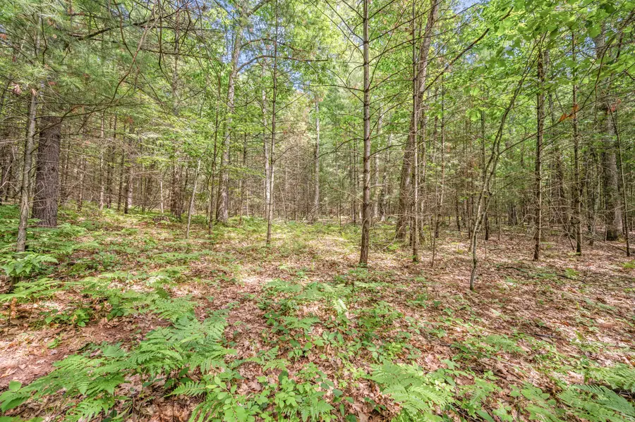 Par 15 W 12 Mile Road, Irons, MI 49644 - #3