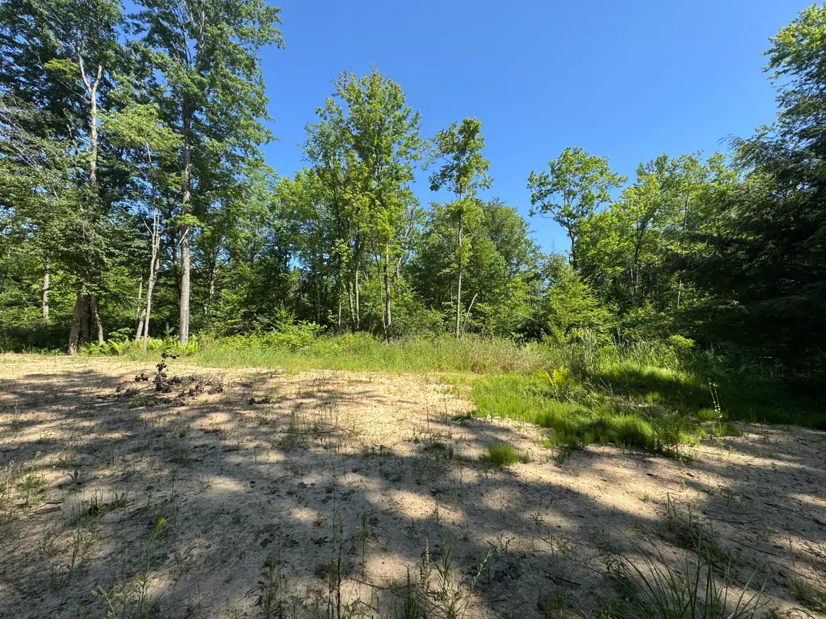 3181 53rd Street, Grand Junction, MI 49056 - #1