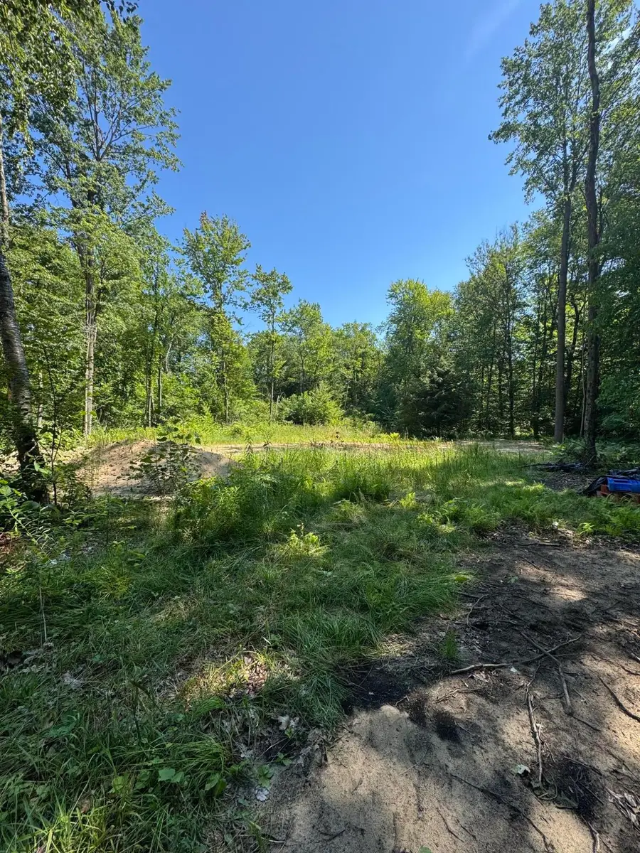 3181 53rd Street, Grand Junction, MI 49056 - #2