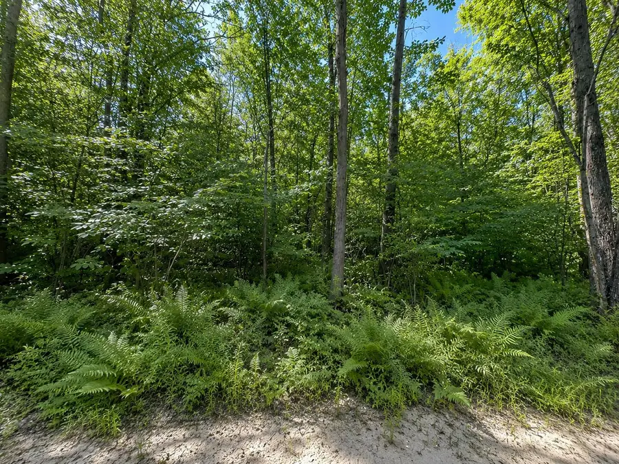 3181 53rd Street, Grand Junction, MI 49056 - #3