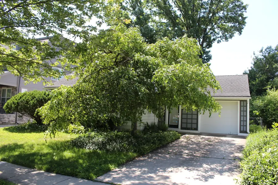 1810 Holland Street, Birmingham, MI 48009 - #3