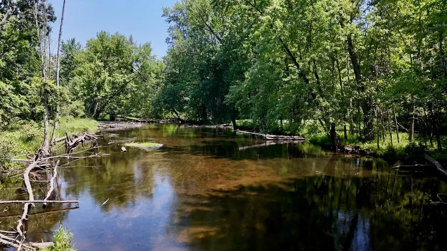 4718 W Church Road, Six Lakes, MI 48886 - #2