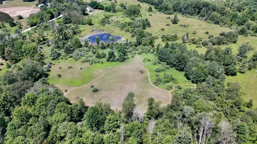 4718 W Church Road, Six Lakes, MI 48886 - #3