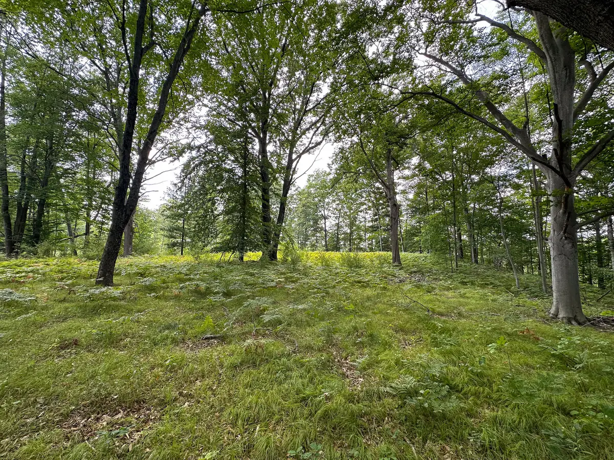 40 V/L 80th Avenue, Rodney, MI 49342 - #1