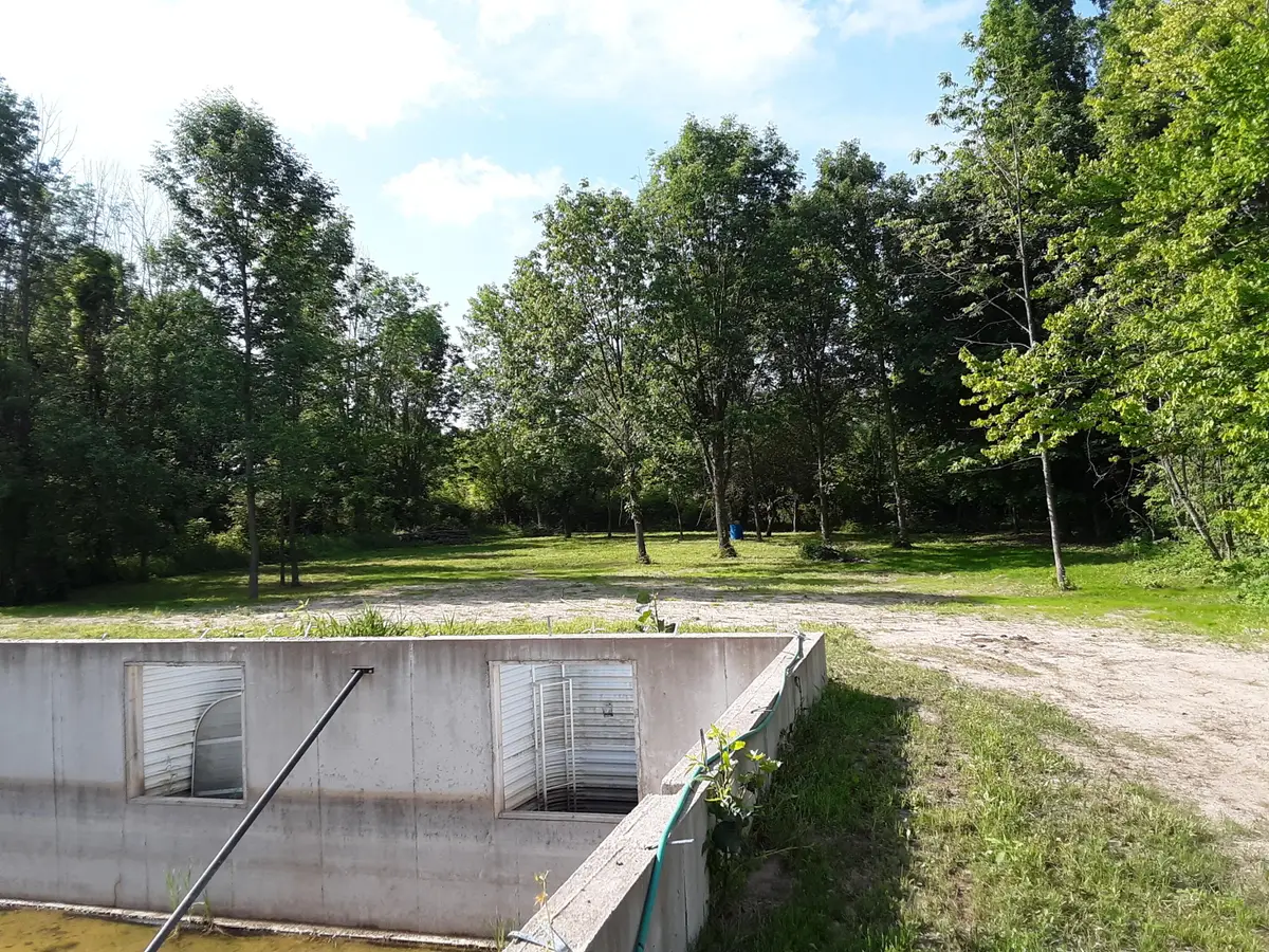 598 E North Street, Hastings, MI 49058 - #1