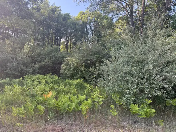 6380 Clubhouse Dr East E #419, Stanwood, MI 49346