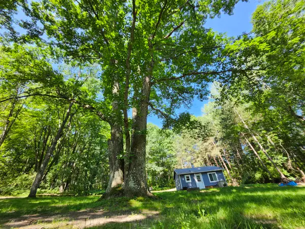2867 E Hawley Road, Custer, MI 49405