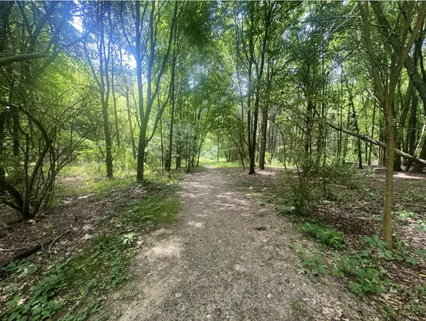 7705 Youngman Road, Greenville, MI 48838