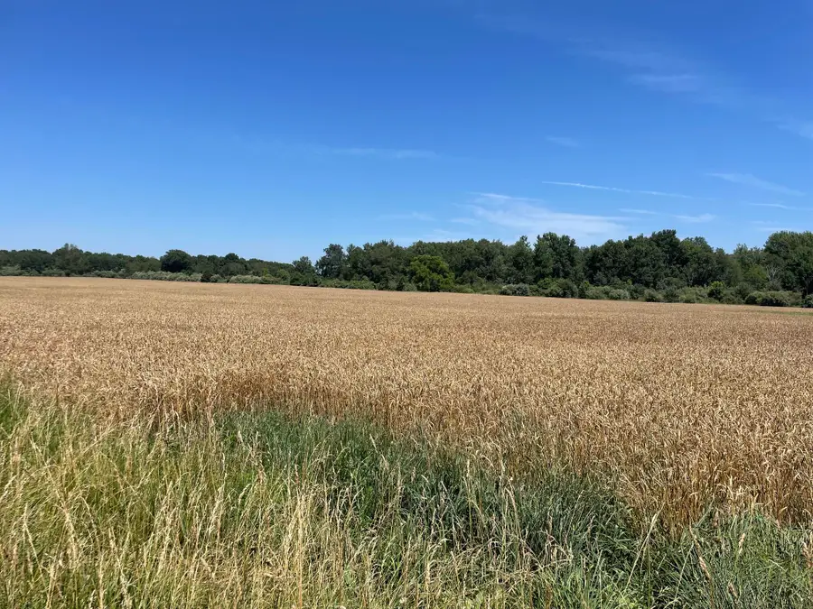 V/L Freesoil Road, Free Soil, MI 49411 - #3
