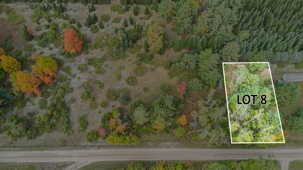 V/L Trout Creek Road, Cheboygan, MI 49721