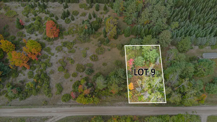 V/L Trout Creek Road, Cheboygan, MI 49721 - #2