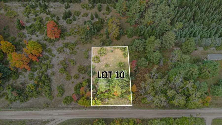 V/L Trout Creek Road, Cheboygan, MI 49721 - #3