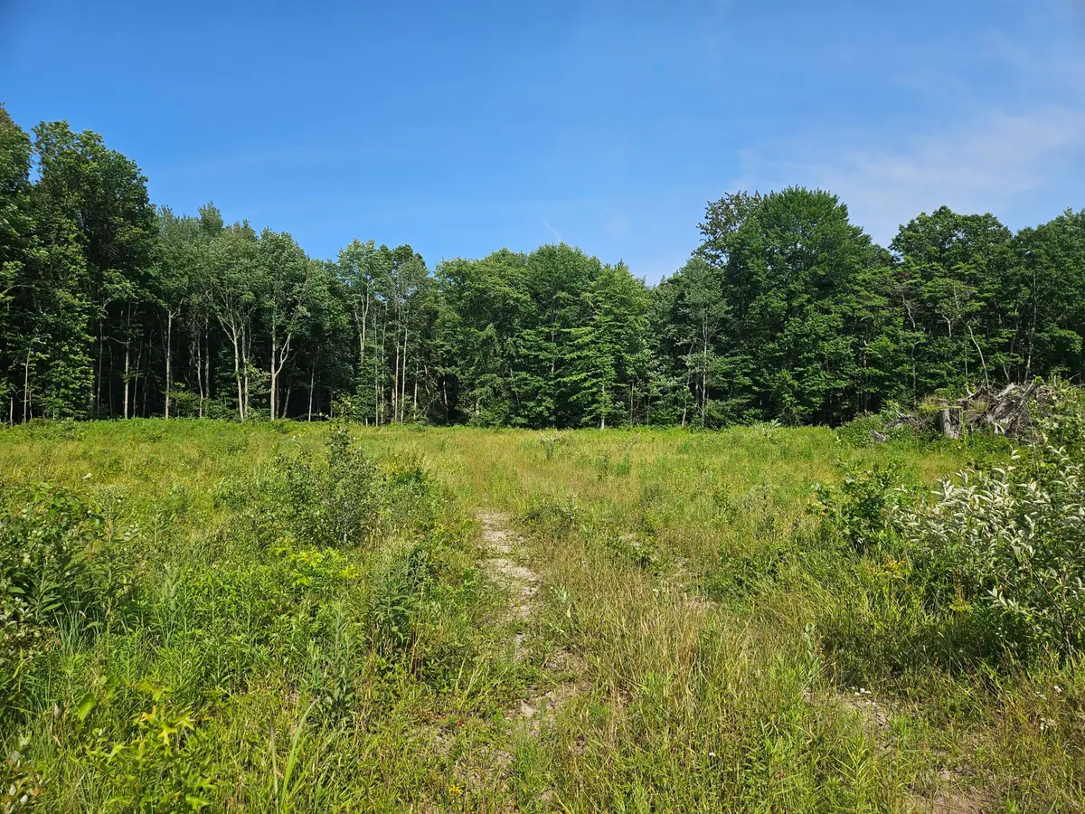 V/L 54th Street, Fennville, MI 49408 - #1