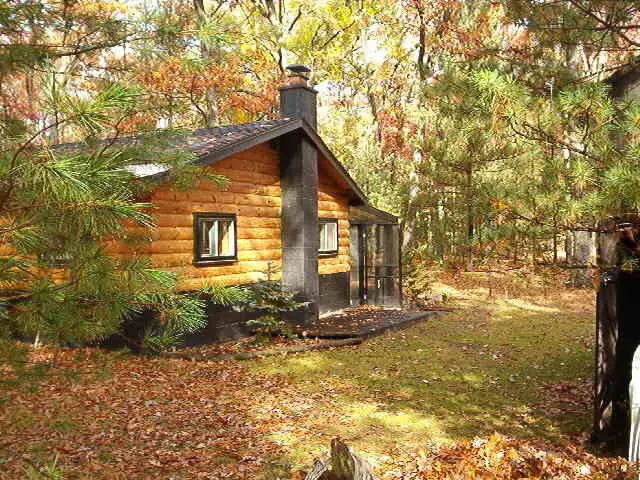 8047 W Peterson Road, Irons, MI 49644 - #1