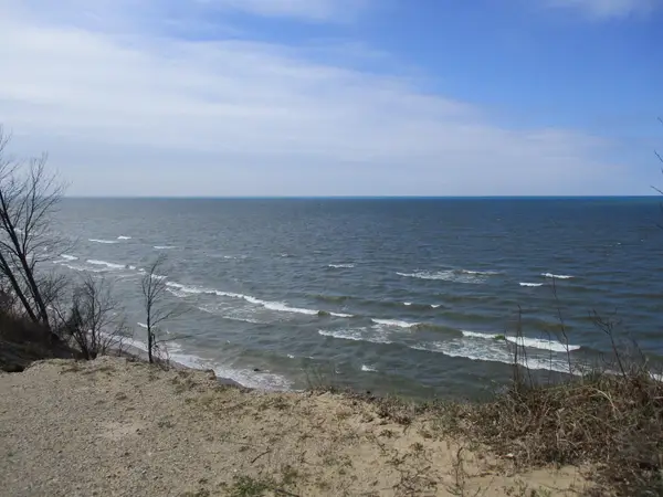 V/L Miami Avenue, South Haven, MI 49090