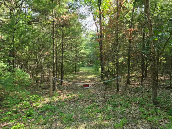 VL E Michland Path, White Cloud, MI 49349