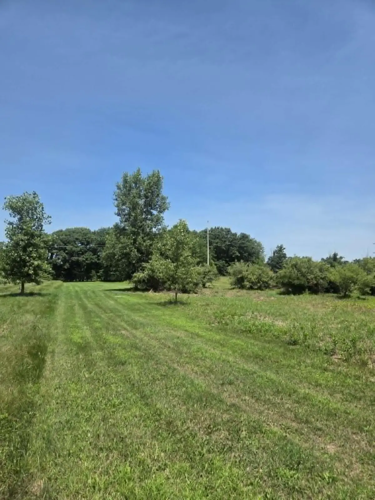 H Drive N, Albion, MI 49224 - #1