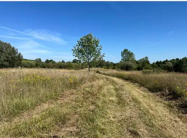 Rolling Hills Drive, Fennville, MI 49408