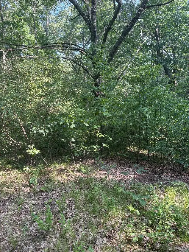 8159 Roosevelt Road, Mecosta, MI 49332 - #3