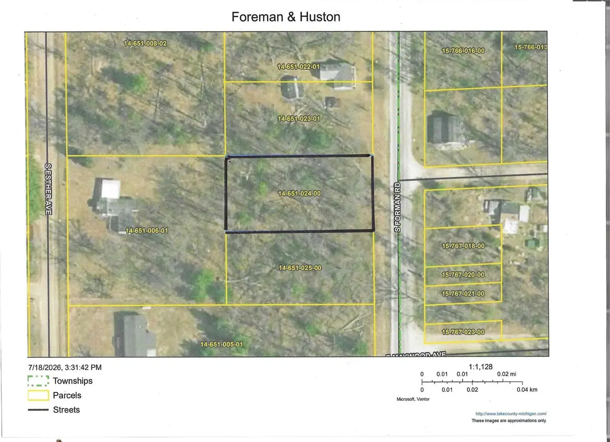 W Foreman Road, Baldwin, MI 49304 - #1