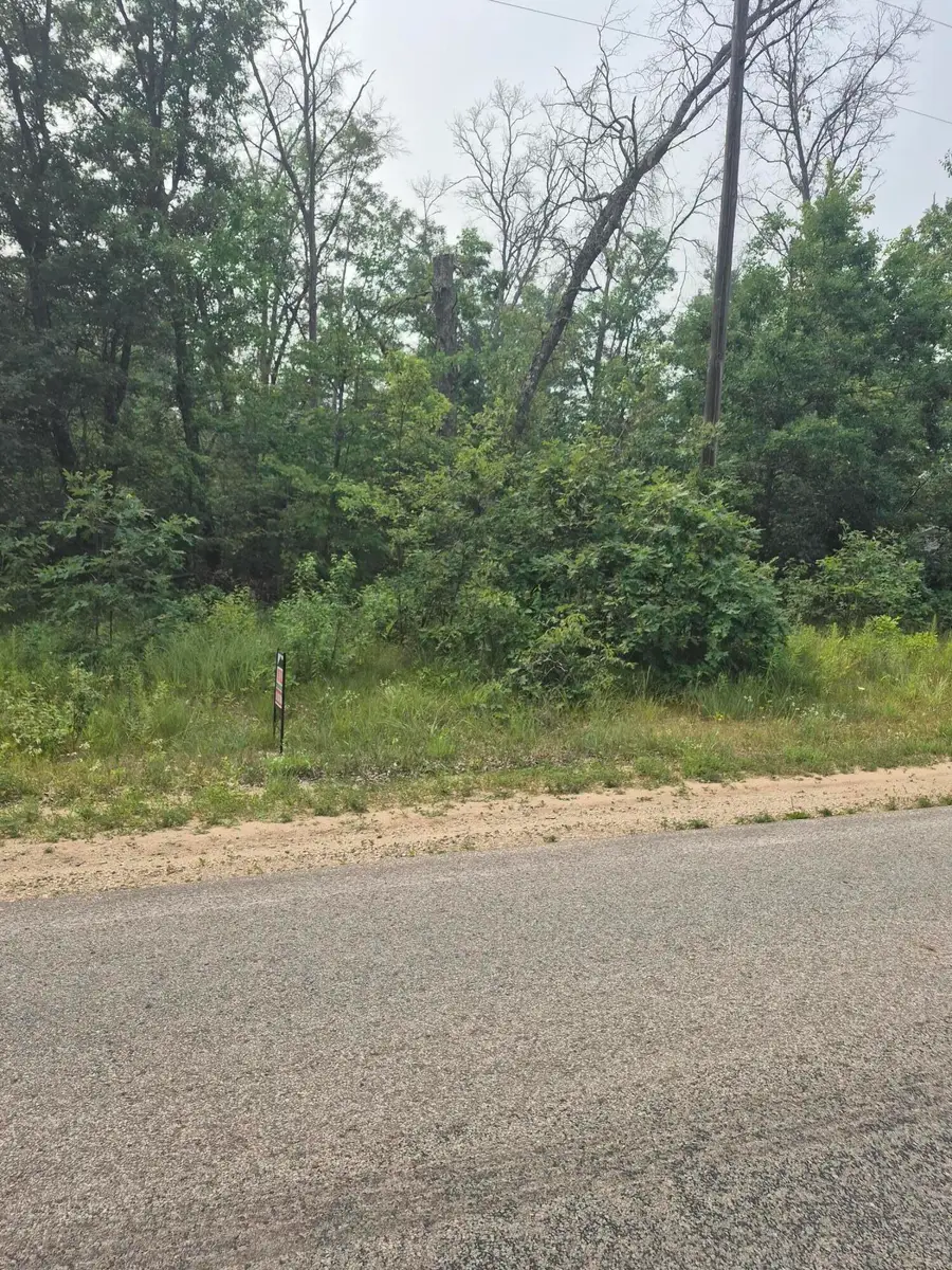 W Foreman Road, Baldwin, MI 49304 - #2