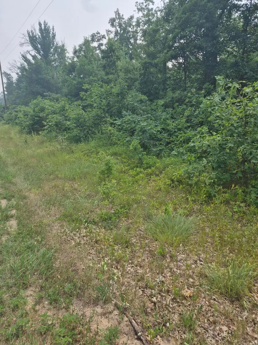 W Foreman Road, Baldwin, MI 49304 - #3
