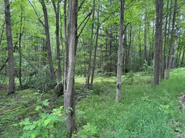 142 Hills Circle, Leroy, MI 49655 - #1