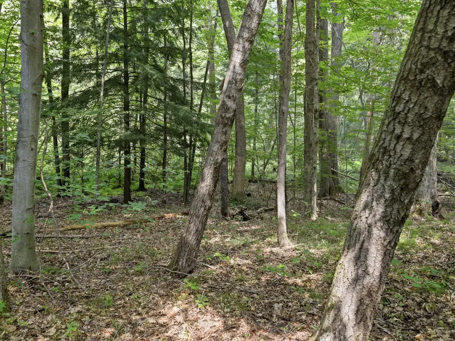 0 10 Mile Road, Stanwood, MI 49346 - #2