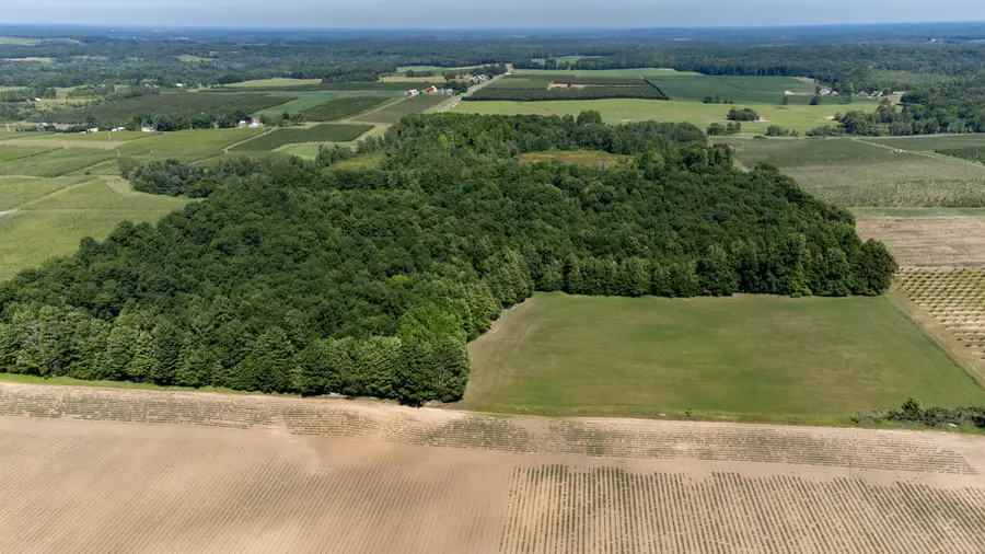 VL E Taylor, Hart, MI 49420 - #2