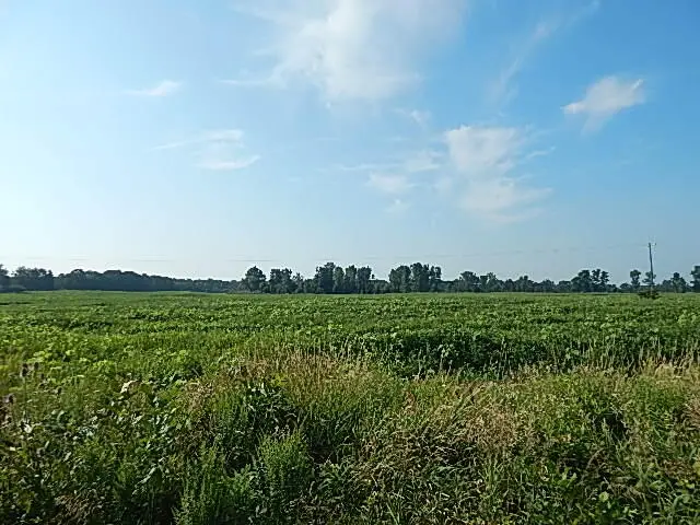 1455 W Hyde Road, Saint Johns, MI 48879 - #3