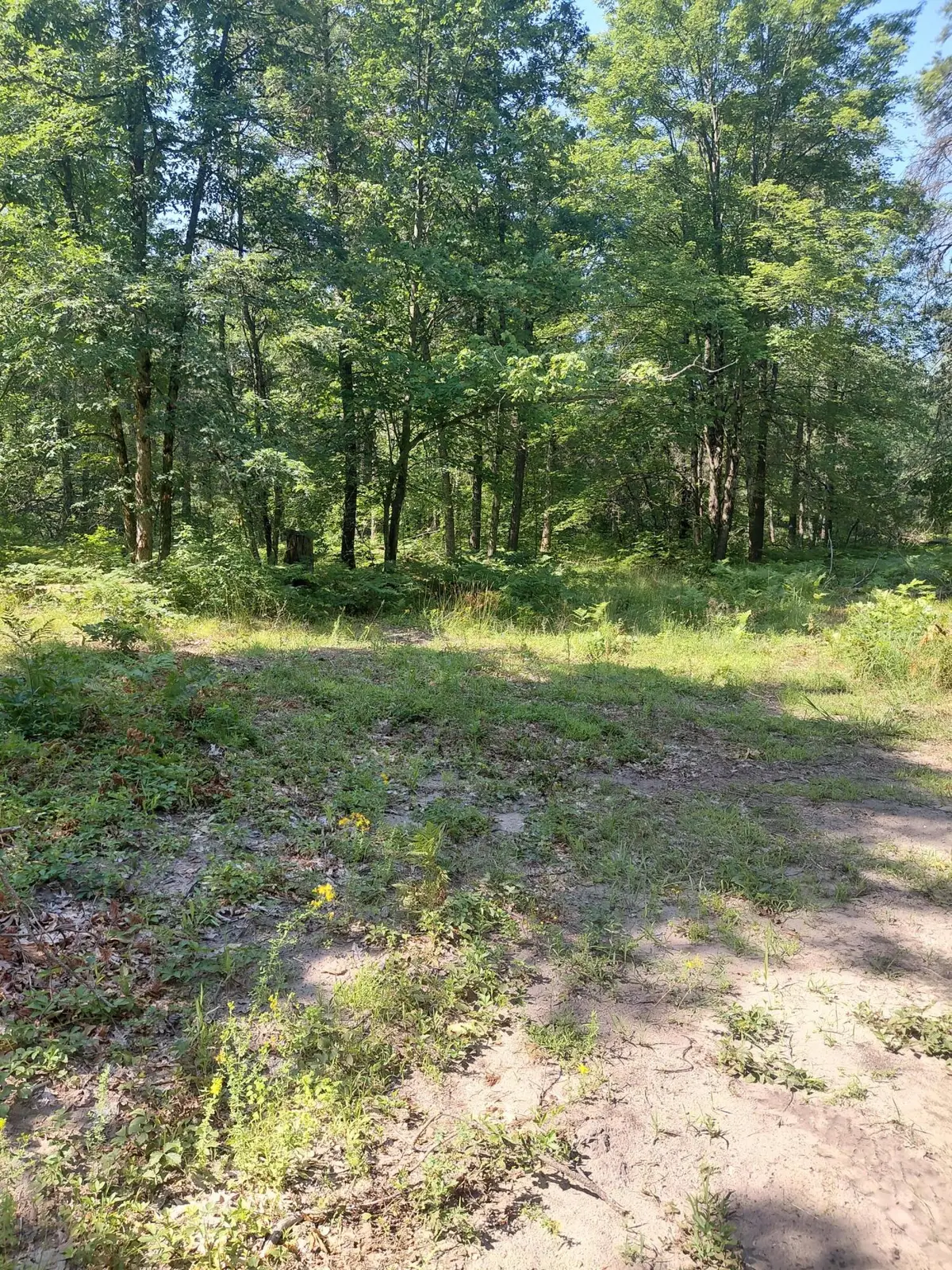 2807 Evergreen Dr Drive #Par C, White Cloud, MI 49349 - #1