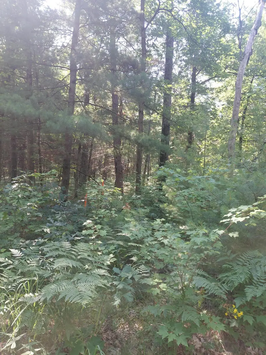 2807 Evergreen Dr Drive #Par C, White Cloud, MI 49349 - #2