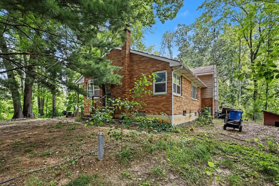 11091 W Drive N, Bellevue, MI 49021 - #2