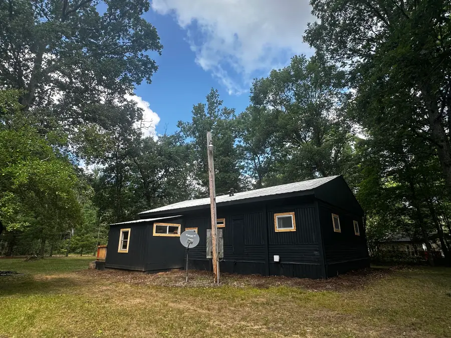 11384 N Irons Road, Irons, MI 49644 - #2