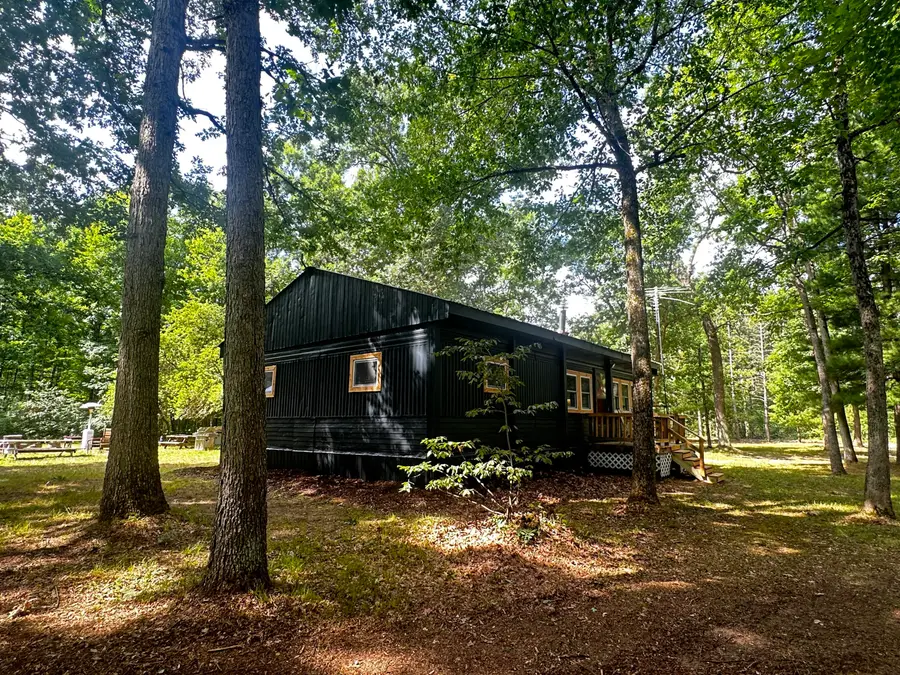 11384 N Irons Road, Irons, MI 49644 - #3