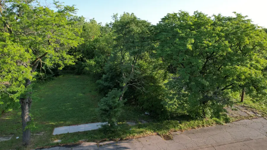 2640 W Forest Avenue, Detroit, MI 48208 - #3